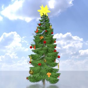 Fichte Weihnachtsbaum 13 m