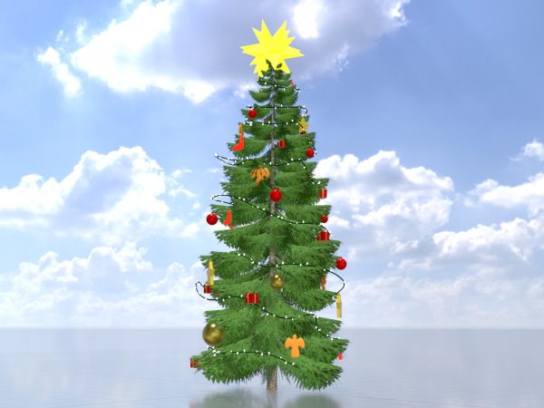 Fichte Weihnachtsbaum 13 m