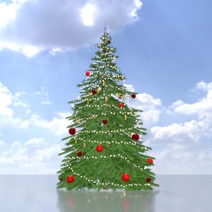 Spruce christmas tree 2 m