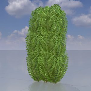 Kirschlorbeerhecke Version-3 1 m