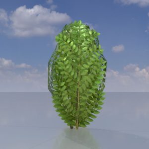 Kirschlorbeerhecke Version-7 0.5 m