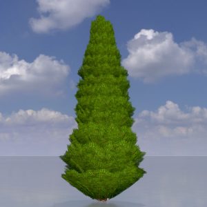 Mock cypress version-2 4 m