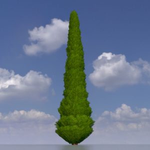 Mock cypress version-2 8 m