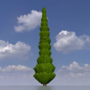 Mock cypress version-4 8 m