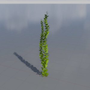 Climbing vine 4.36 m