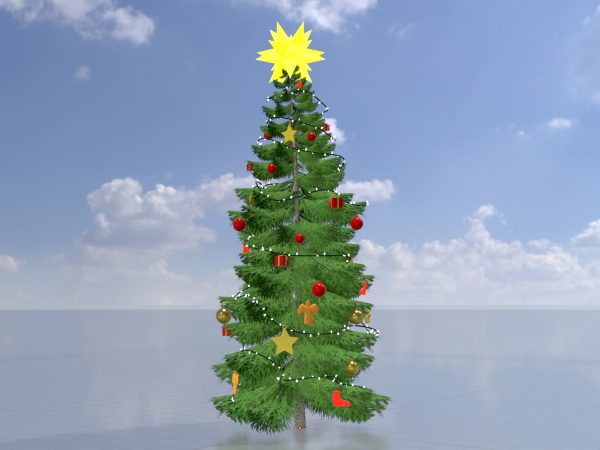 Fichte Weihnachtsbaum 13 m – Bild 2