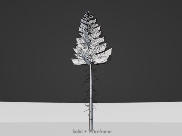 Fichte Sommer Waldversion 21 m – Bild 6