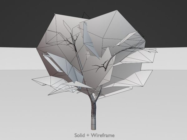 Echte Walnuss Winter 12 m – Bild 7