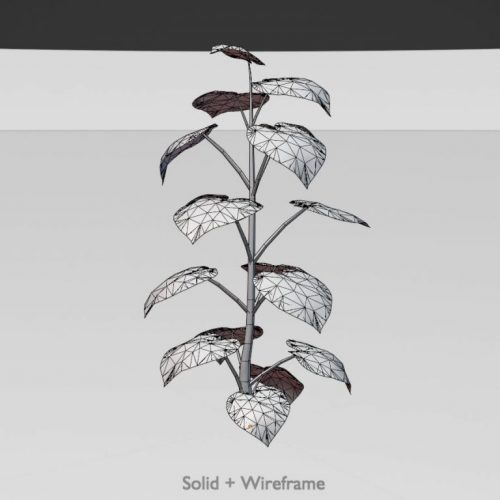 011-Blauglockenbaum-Sommer-LOD3-2m-Bild.jpg 011-Blauglockenbaum-Sommer-LOD3-2m-Bild.jpg