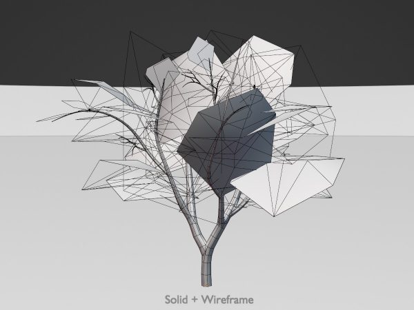 Echte Walnuss Winter 12 m – Bild 8