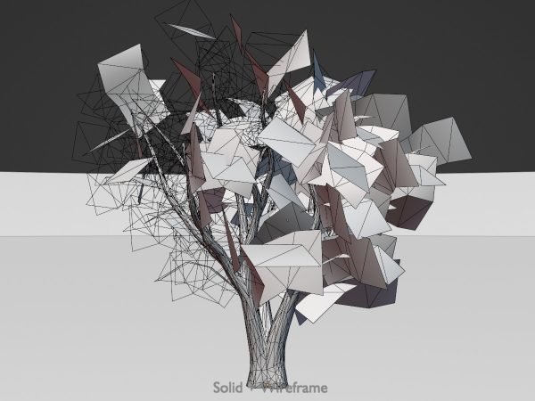 Japanischer Schnurbaum Winter 16 m – Bild 8
