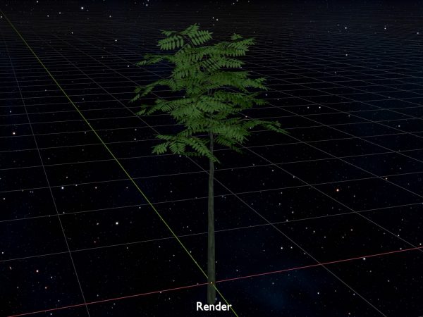 Japanischer Schnurbaum Sommer 2 m – Bild 10
