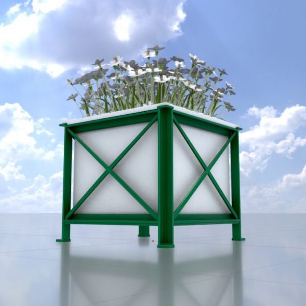 Quadratischer weißer Blumentopf mit weißen Blumen