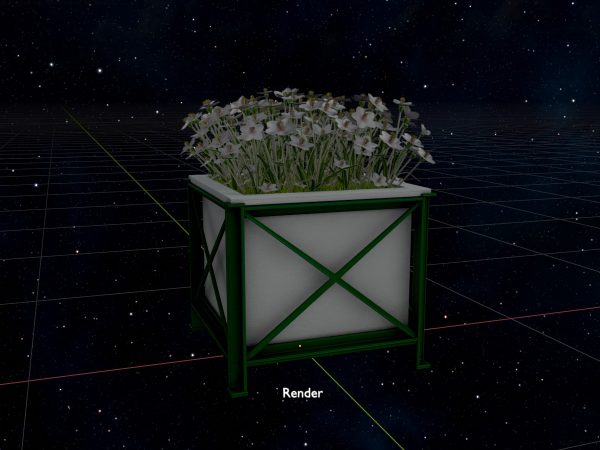 Quadratischer weißer Blumentopf mit weißen Blumen – Bild 10