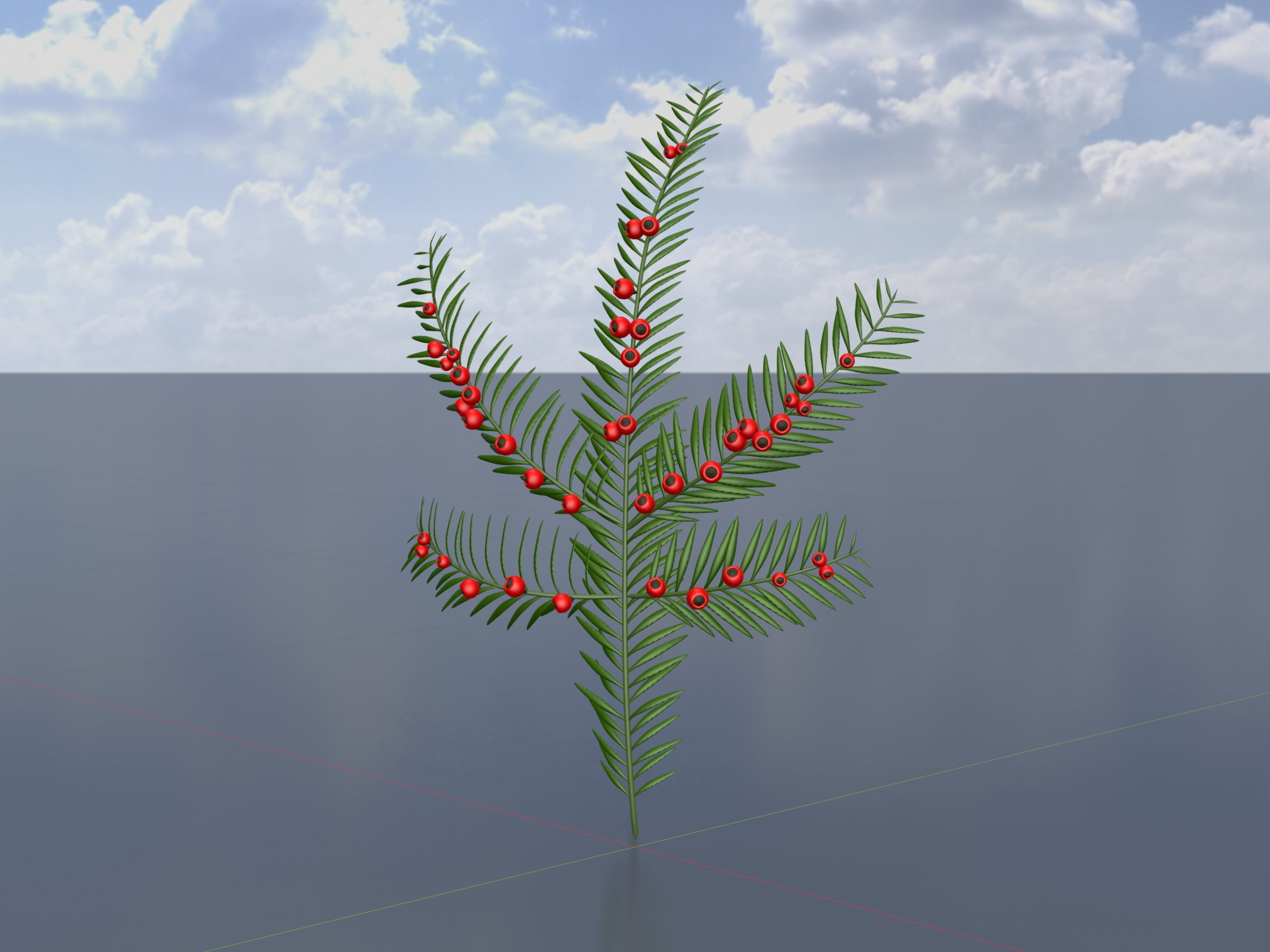 001-Yew-Taxus-Baccata-Branch-Bild.jpg 001-Yew-Taxus-Baccata-Branch-Bild.jpg